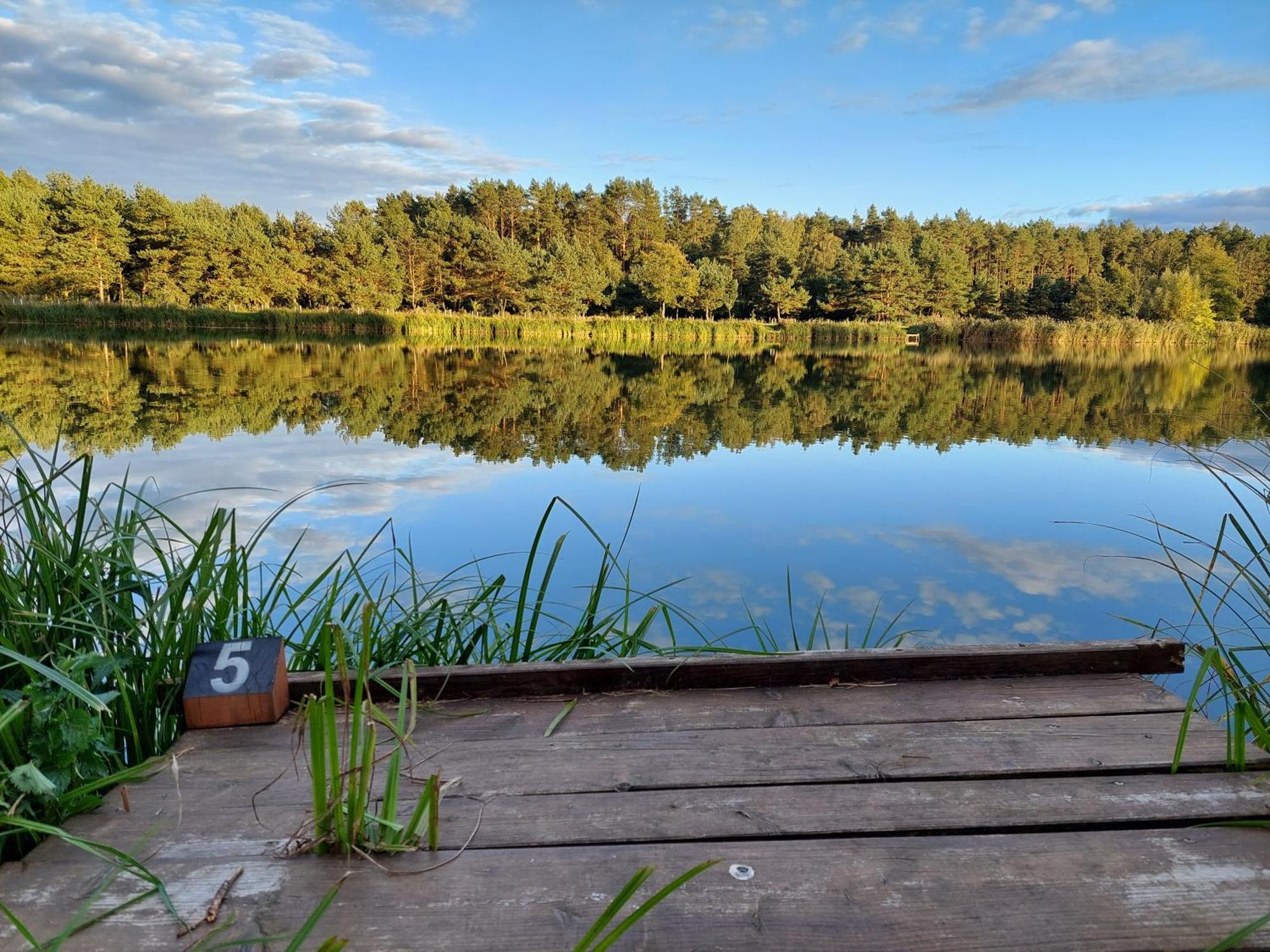 Hotel Odpocznia Resort I Las Jaracz エクステリア 写真